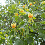 Путешествие выходного дня по окрестностям Сочи