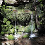 Путешествие выходного дня по окрестностям Сочи