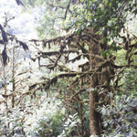 Путешествие выходного дня по окрестностям Сочи