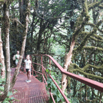 Путешествие выходного дня по окрестностям Сочи