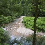 Путешествие выходного дня по окрестностям Сочи